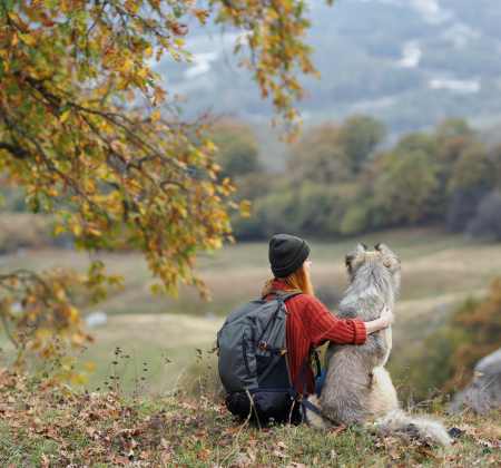 Pet Friendly Fun callout